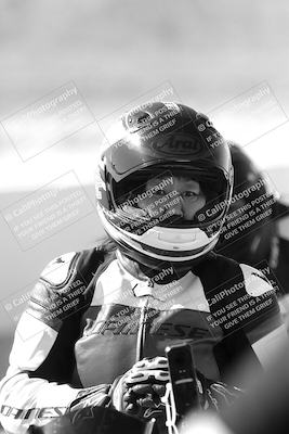 media/Mar-08-2025-TrackXperience (Sat) [[277b597a28]]/1-Around the Pits - Pre Grid/